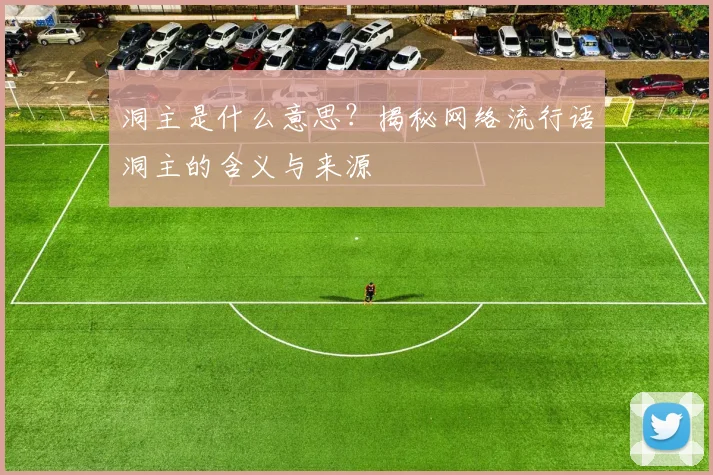 洞主是什么意思？揭秘网络流行语洞主的含义与来源